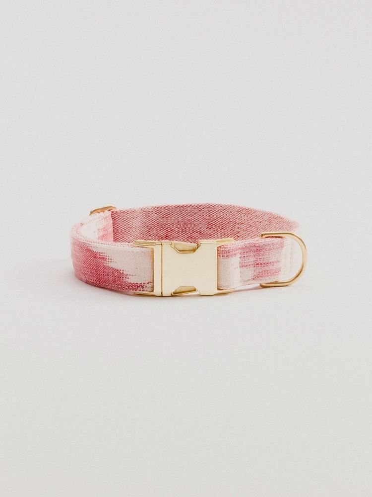 Dog Collars