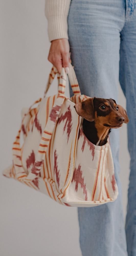 Tote & Travel Carriers