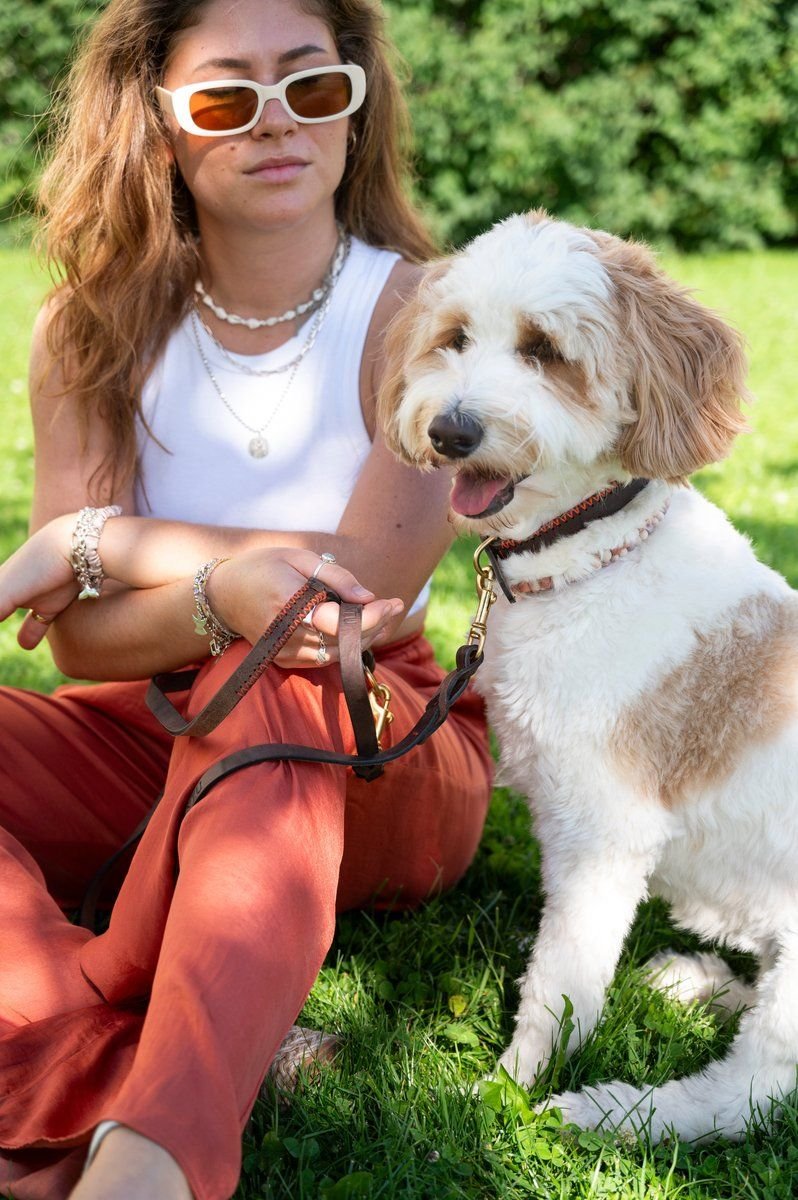 Lumas Classic Leash Chocolate & Orange