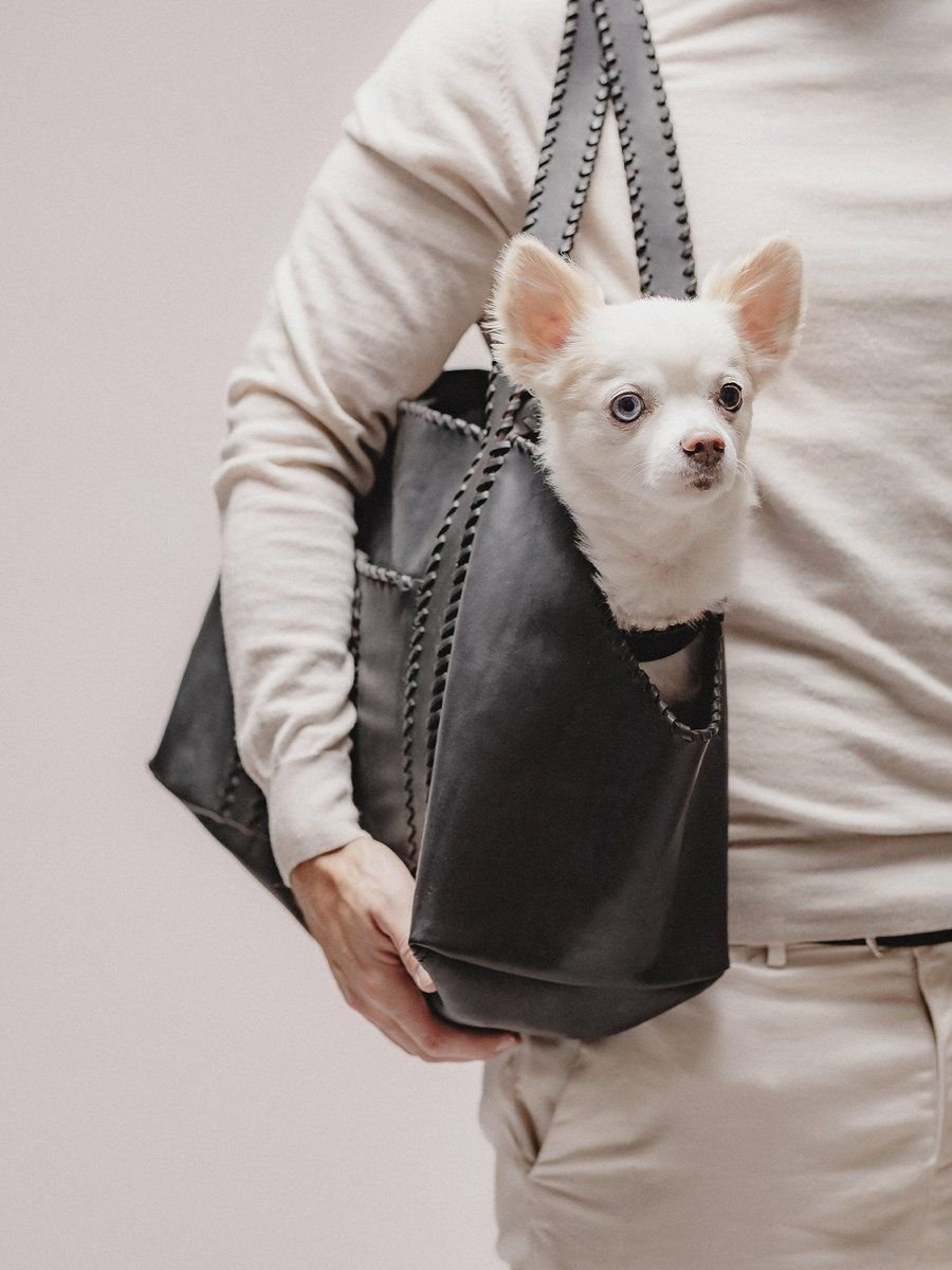 Solsticio Weekend Dog Carrier Noir