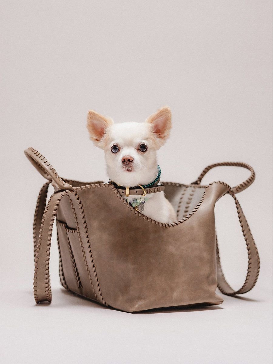 Solsticio Weekend Dog Carrier Stone Grey