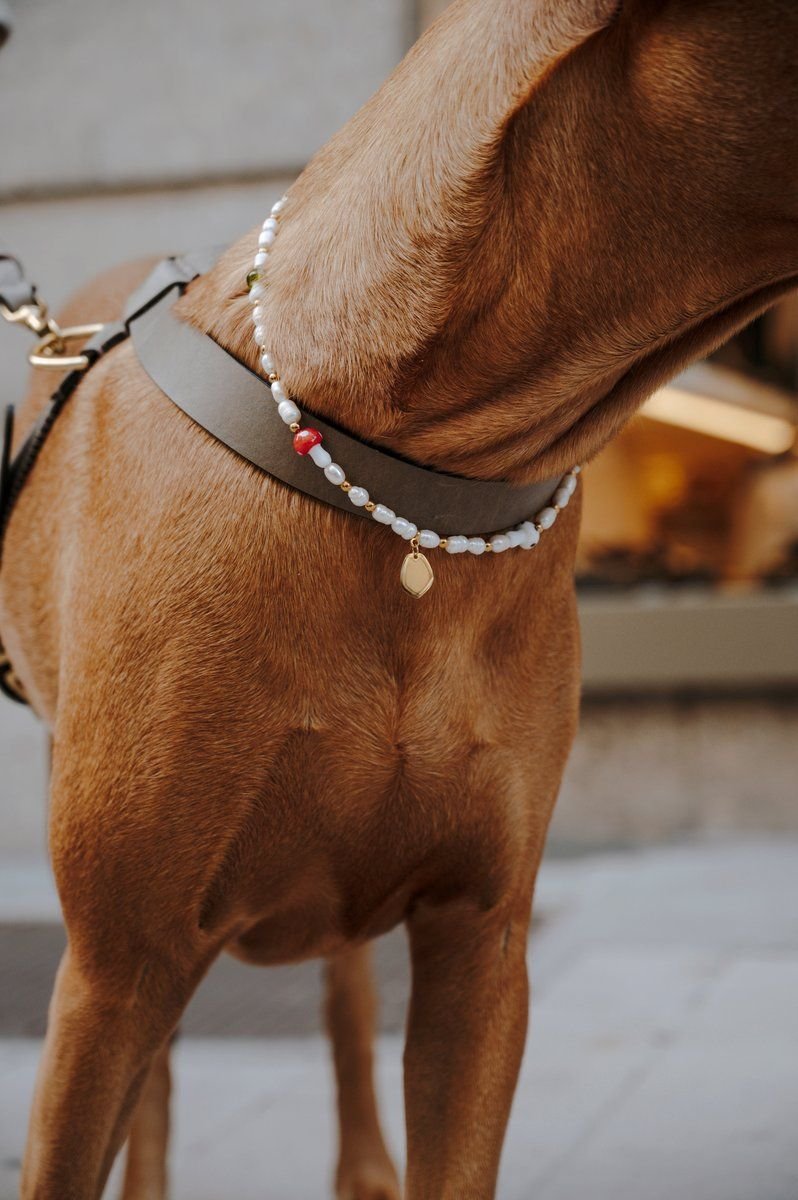Studio 54 Statement Chain Gold Edition