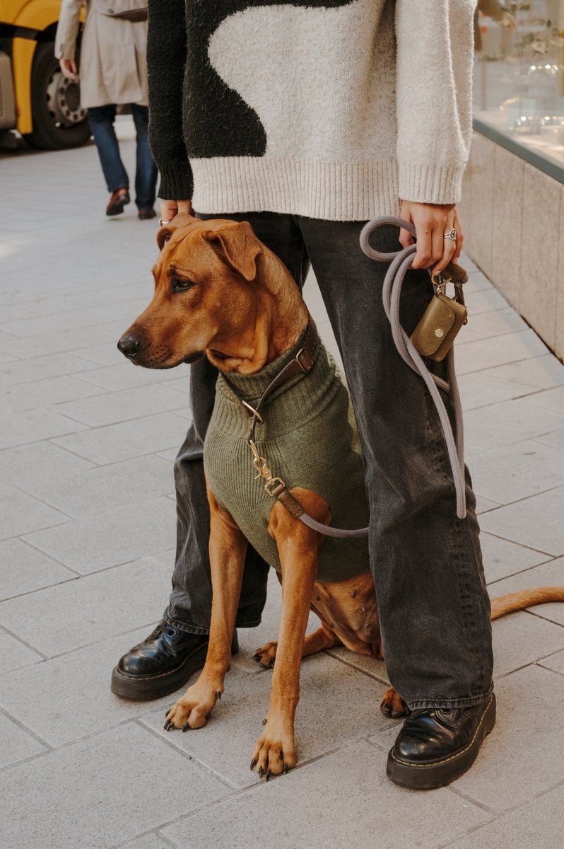 Tierra Multi-Way Leash Black & Taupe