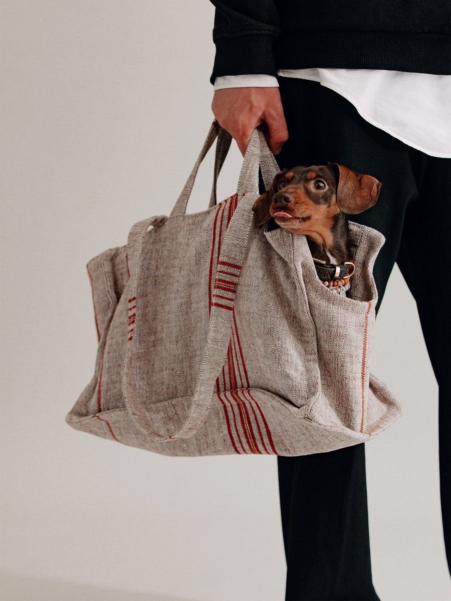 Verano Dog Shopper Cannes