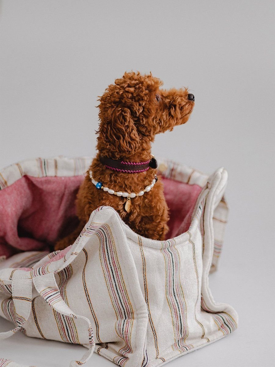 Verano Dog Shopper Ibiza