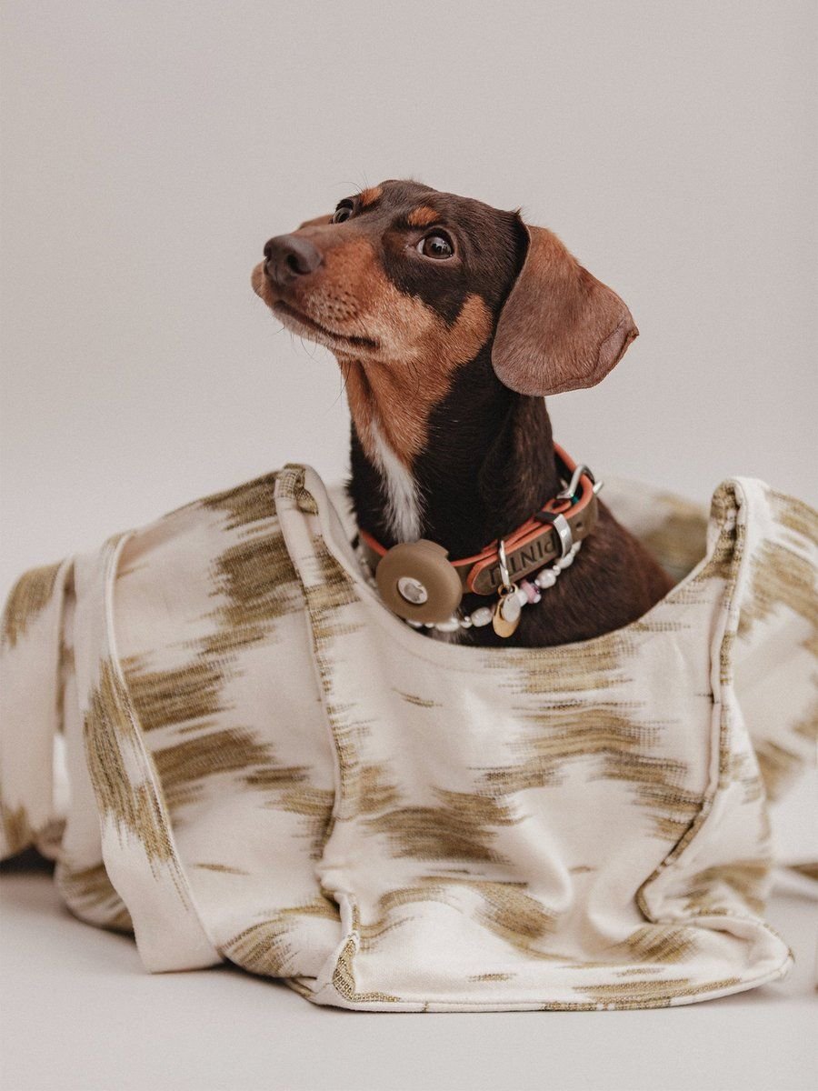 Verano Dog Shopper Palma Pistachio