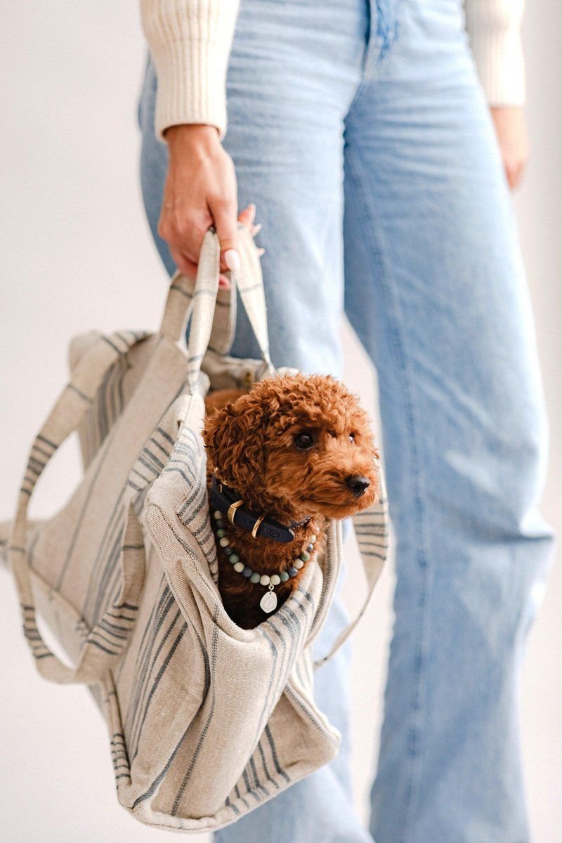 Verano Dog Shopper Portofino